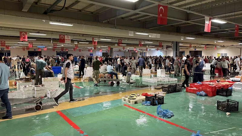 Av yasağının bitmesiyle İstanbul’da balıkçılık sezonu resmen başladı
