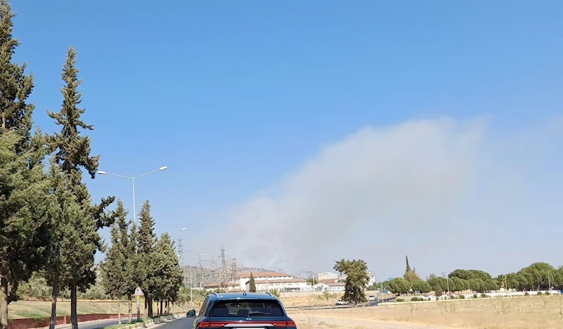 Aydın’da zirai alan yangını
