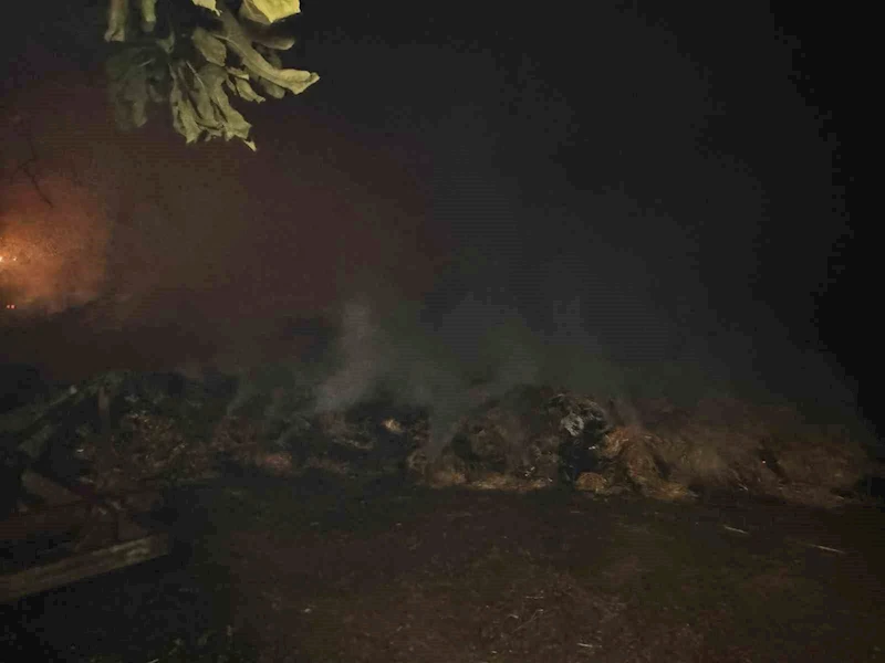 Alevlerin arasında kalan mahallede soğutma çalışmaları gece boyunca devam etti
