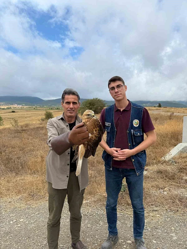 Kastamonu’da yaralı halde bulunan şahin tedavi altına alındı
