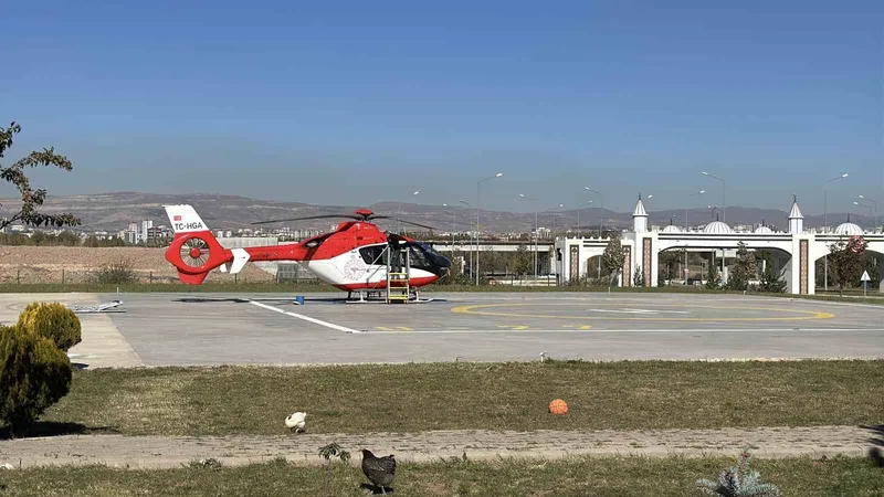 Ormanda ayı saldırısına uğradı, tedavi altına alındı
