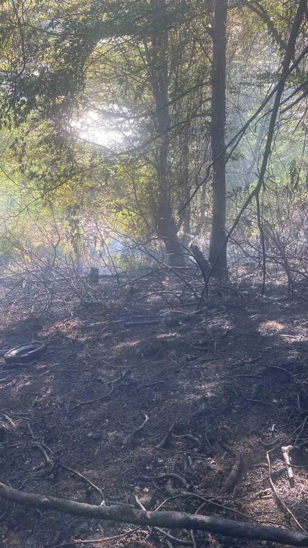 Zonguldak’ta ormanlık alanda çıkan yangın kısa sürede söndürüldü
