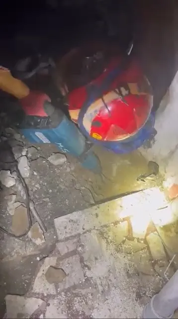 Yaramaz kedi, kaza kaza kendini toprağa gömdü
