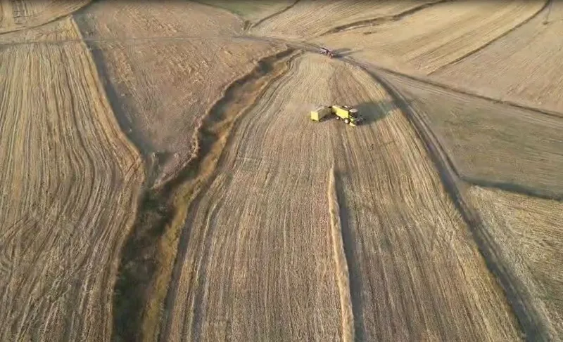 Ardahan’da arpa ve buğday hasadı sürüyor
