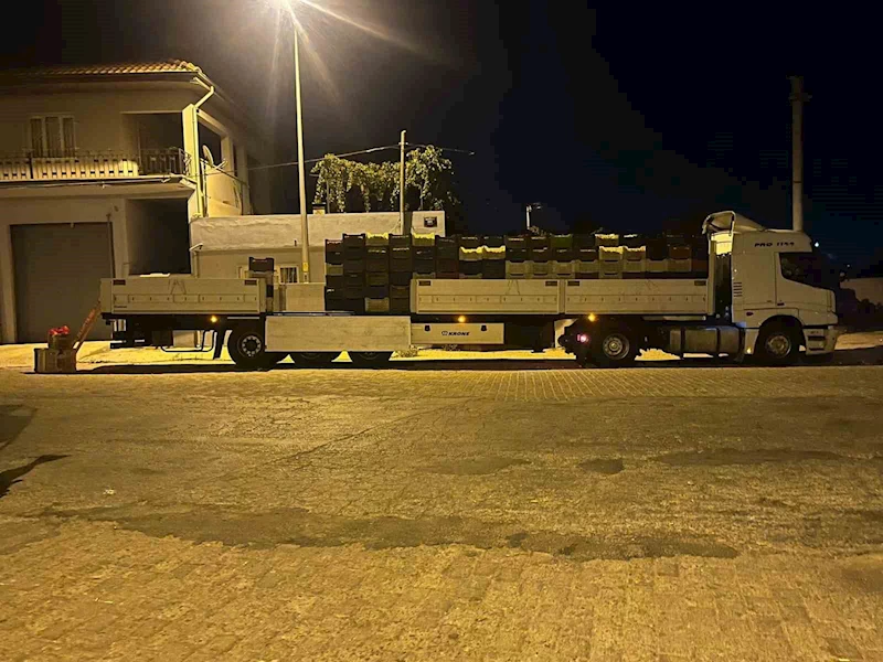 Kardeşköy’de bamya sezonu hız kesmiyor
