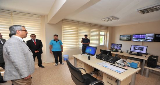 Hayvan iskeleti gelincik çıktı