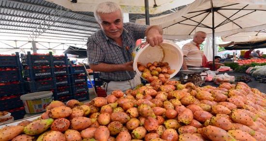 Papuç inciri, tezgahları süslüyor