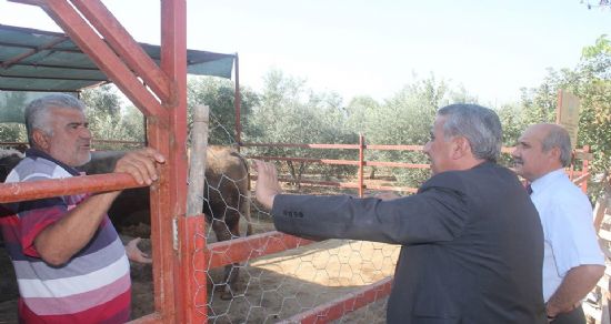 Genç çiftçiler, proje ile gülüyor