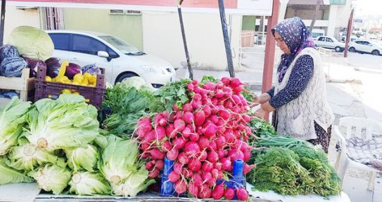 Çocuklarını, seyyar satıcılık yaparak okutuyor
